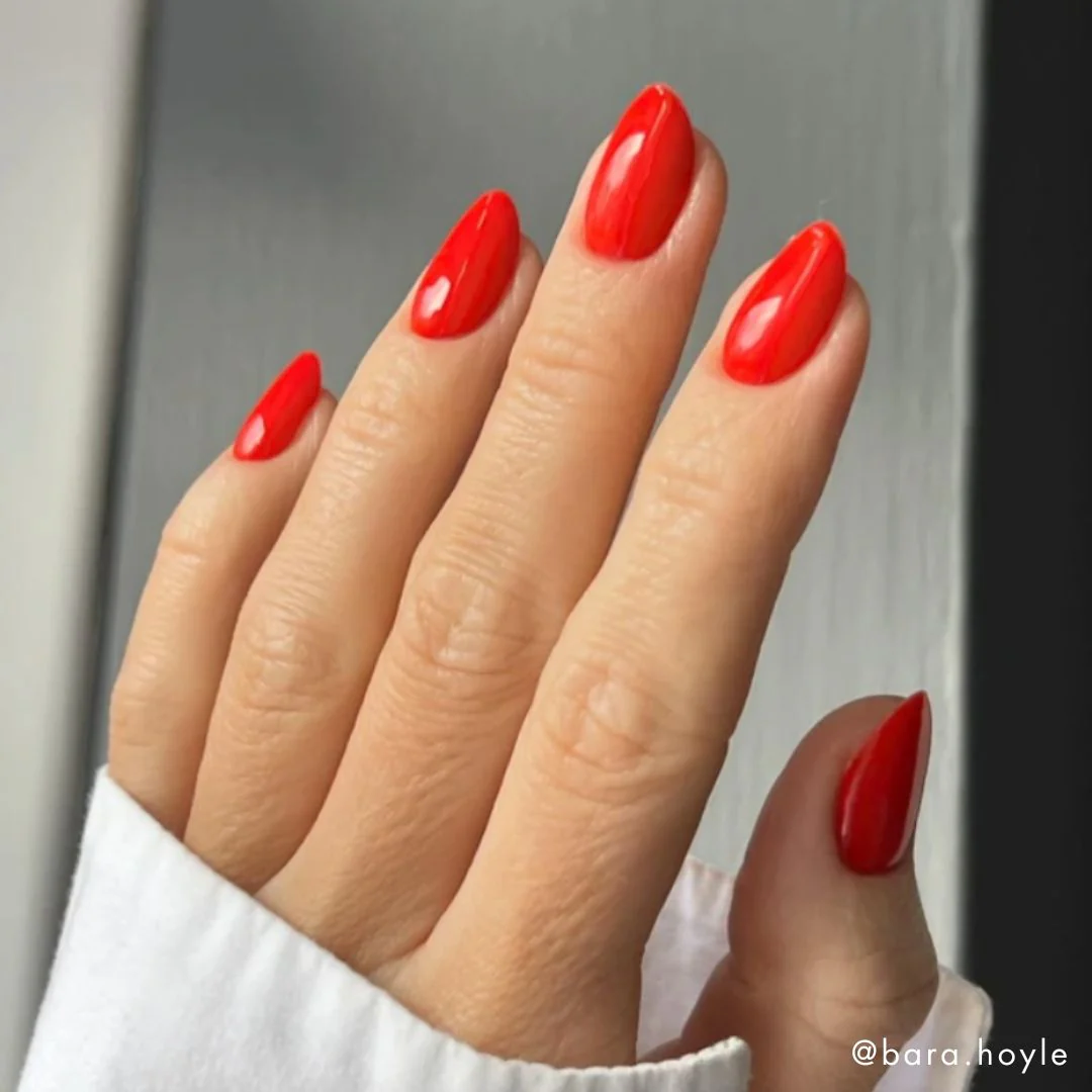 Viva Italia - HEMA Free - Image 3