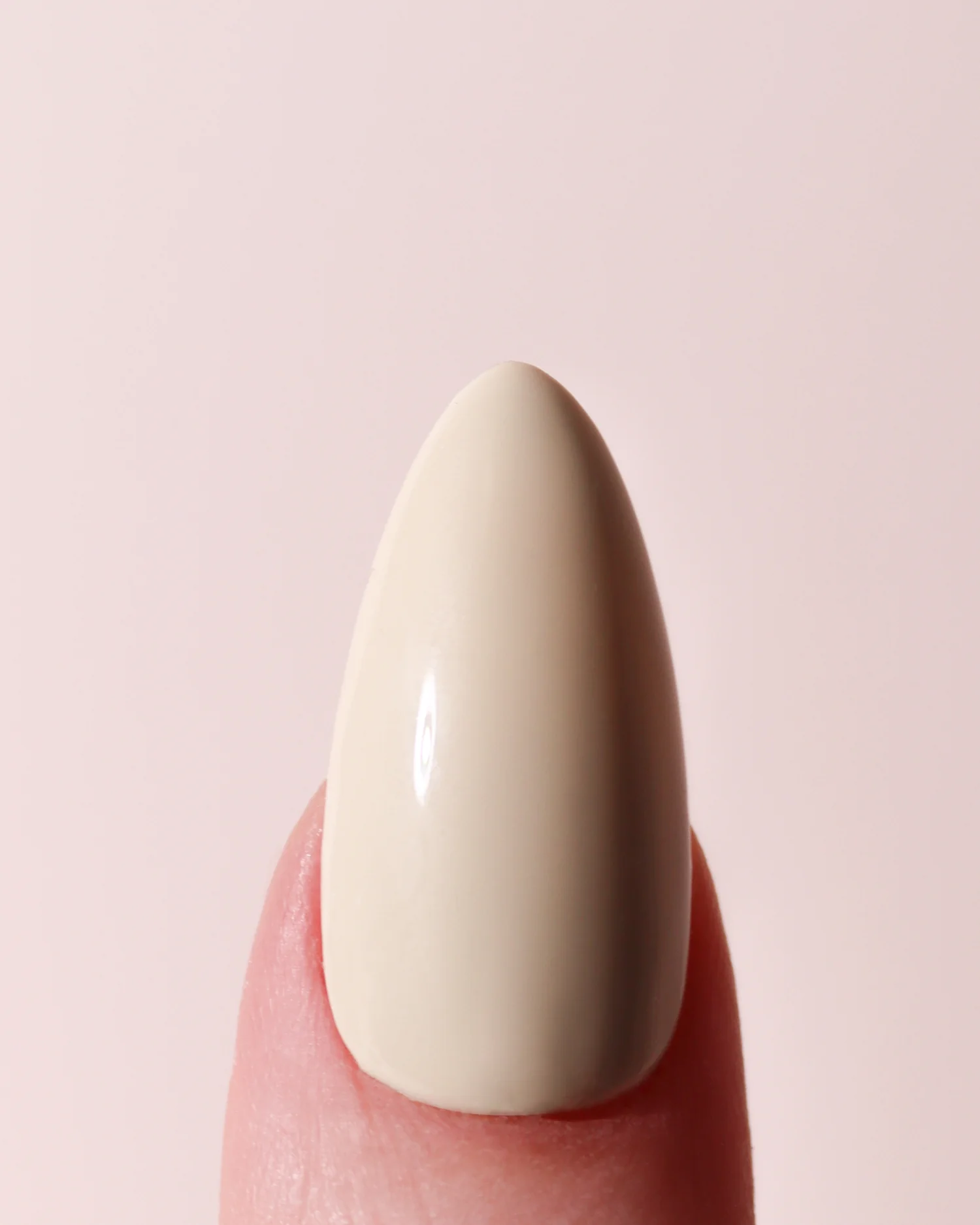 Crème - Image 7