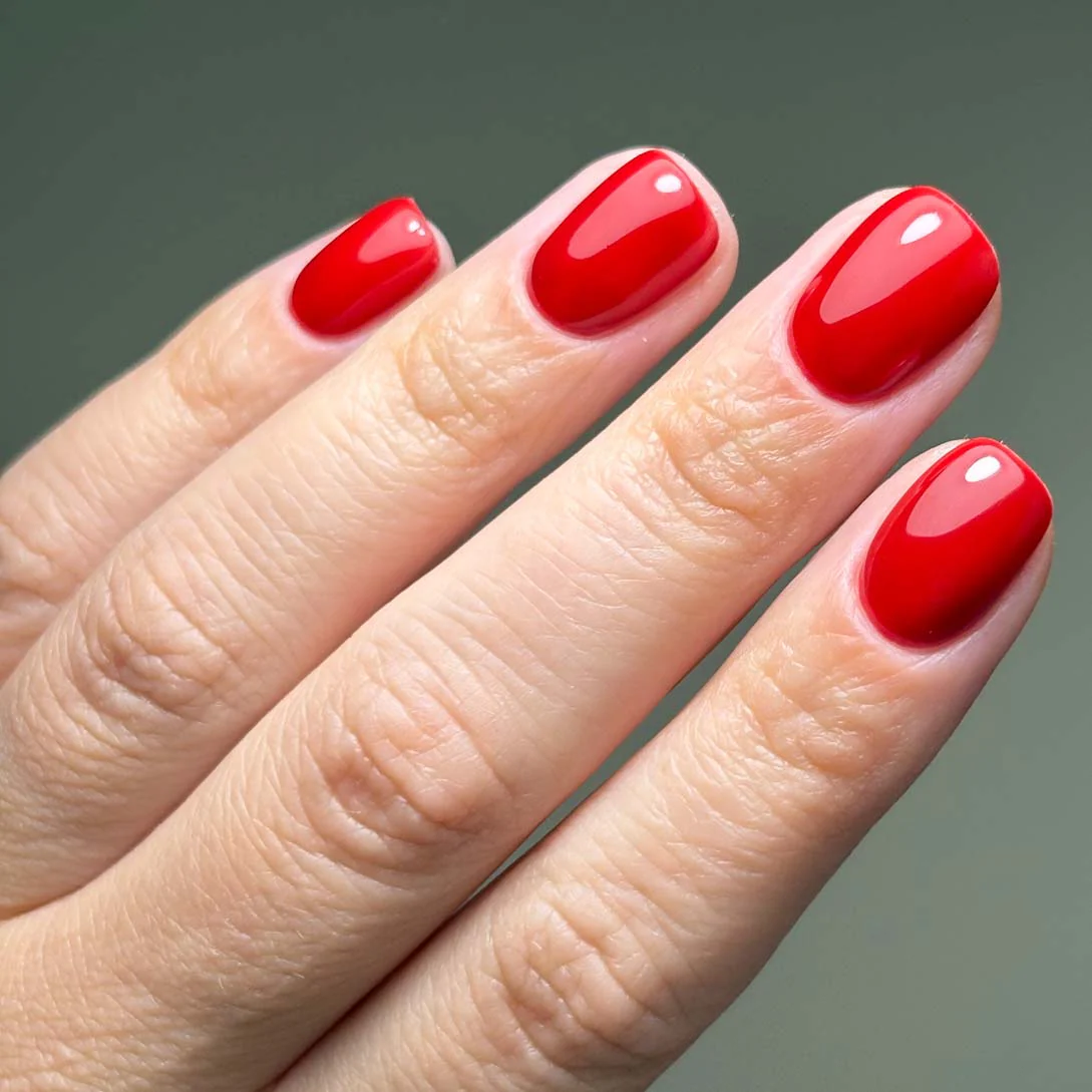 Crimson - HEMA Free - Image 4