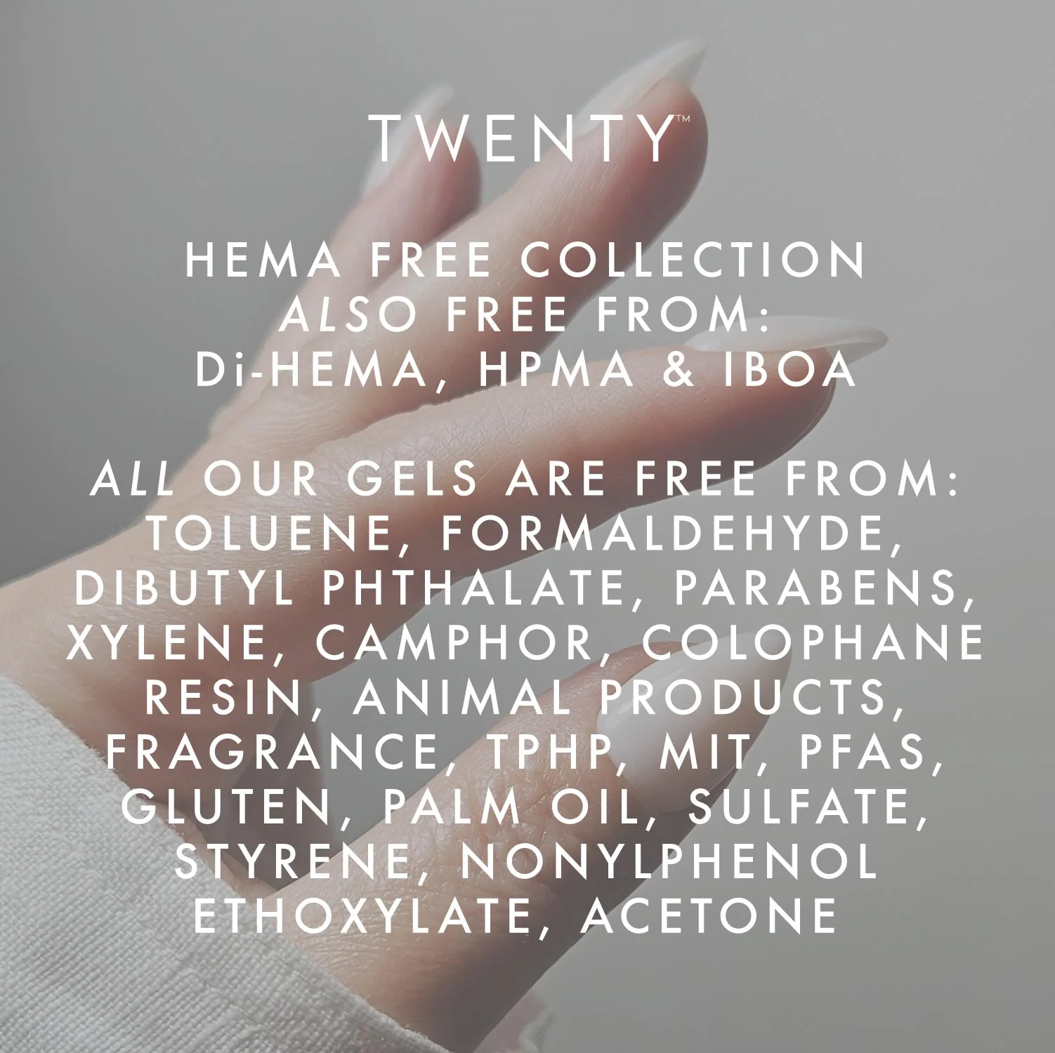Donatella - HEMA Free - Image 8