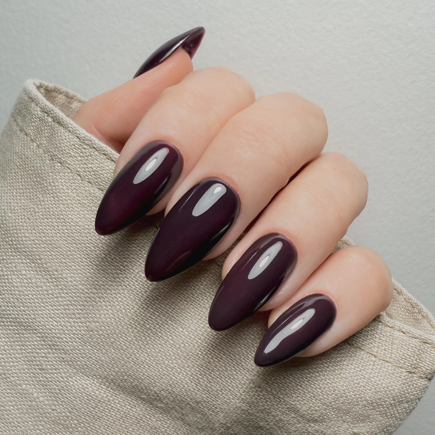 Mulberry - Image 3